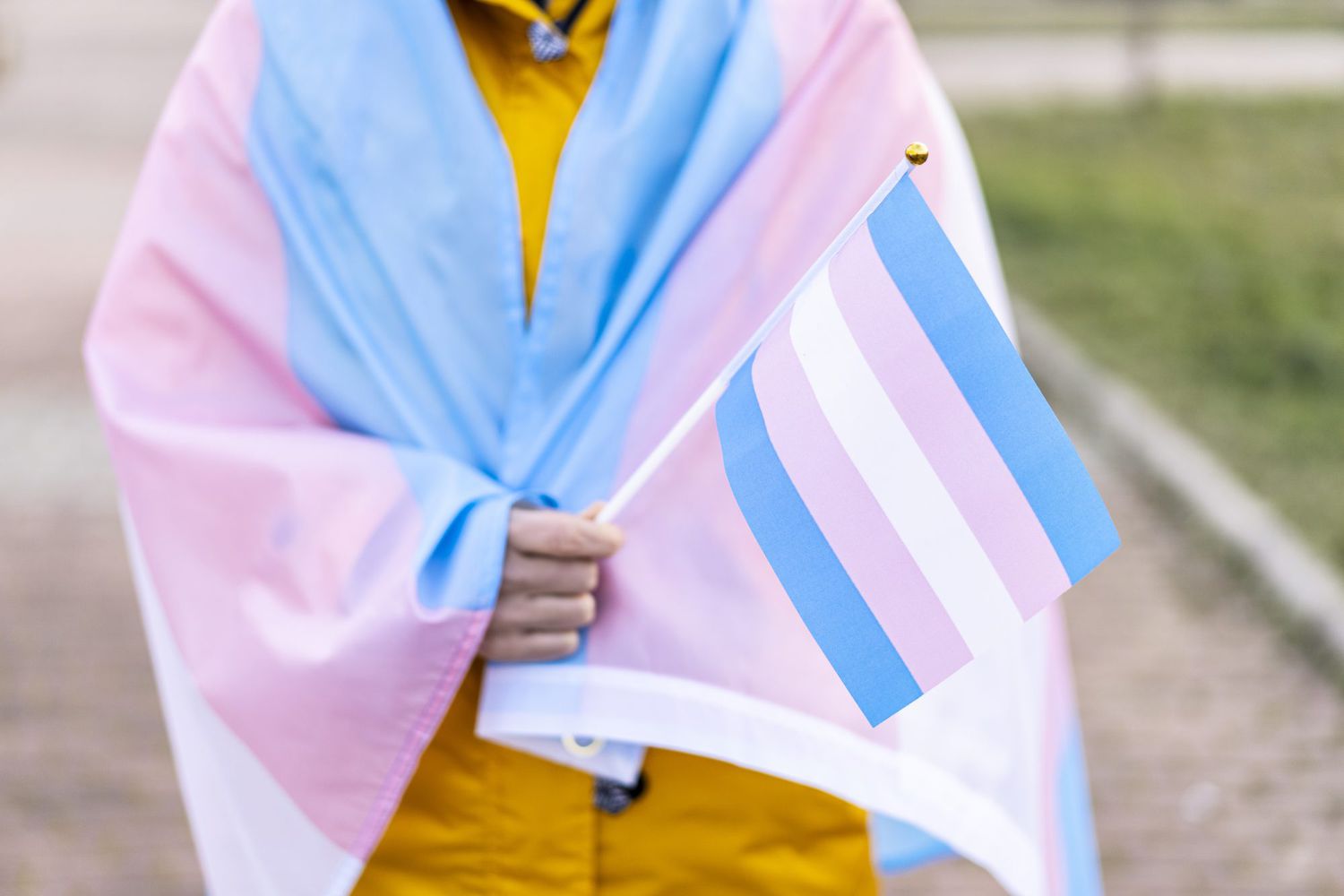 Woman covered with the transgender flag on a protest