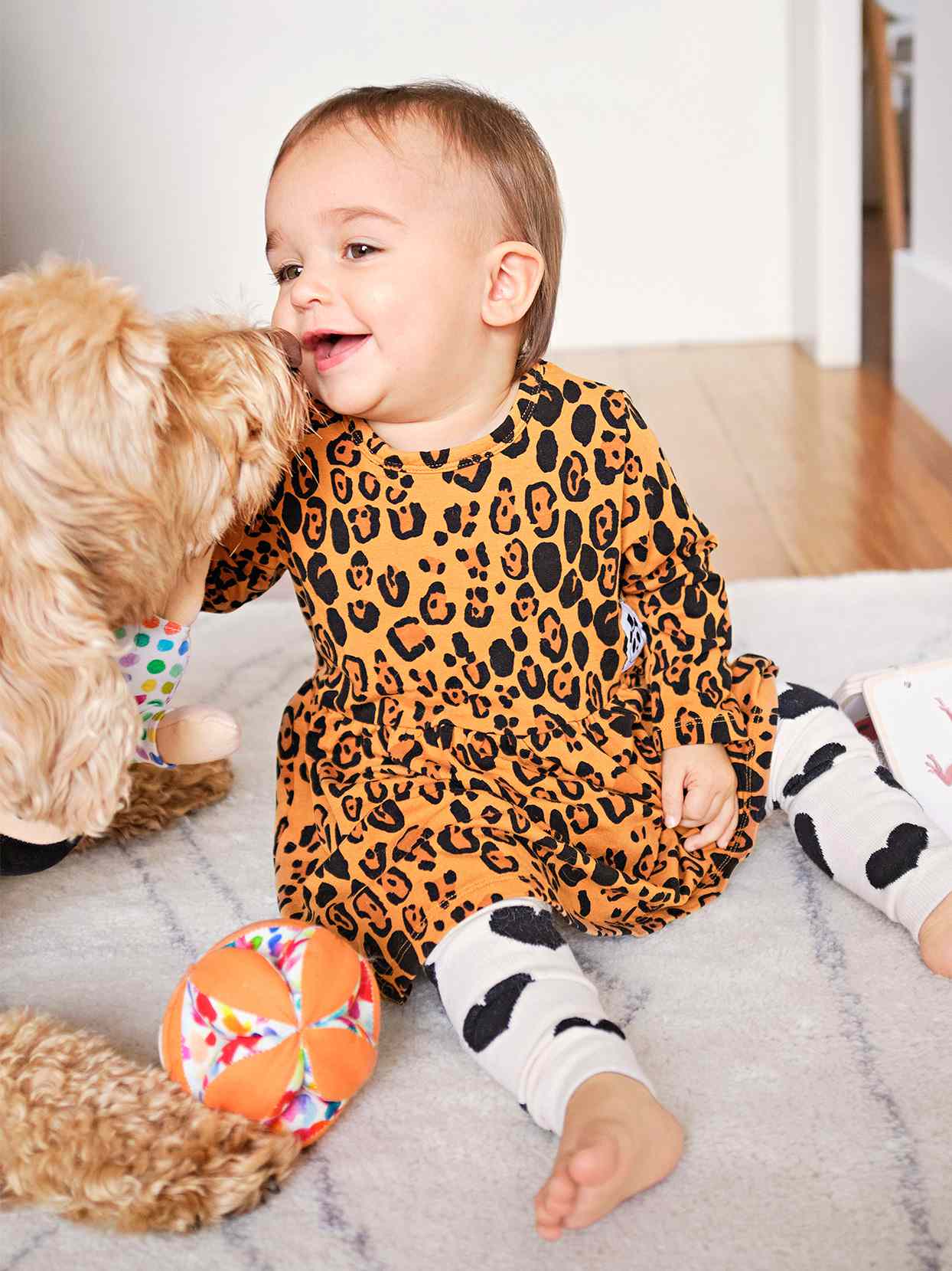 baby sitting leopard-print dress smiling dog kisses