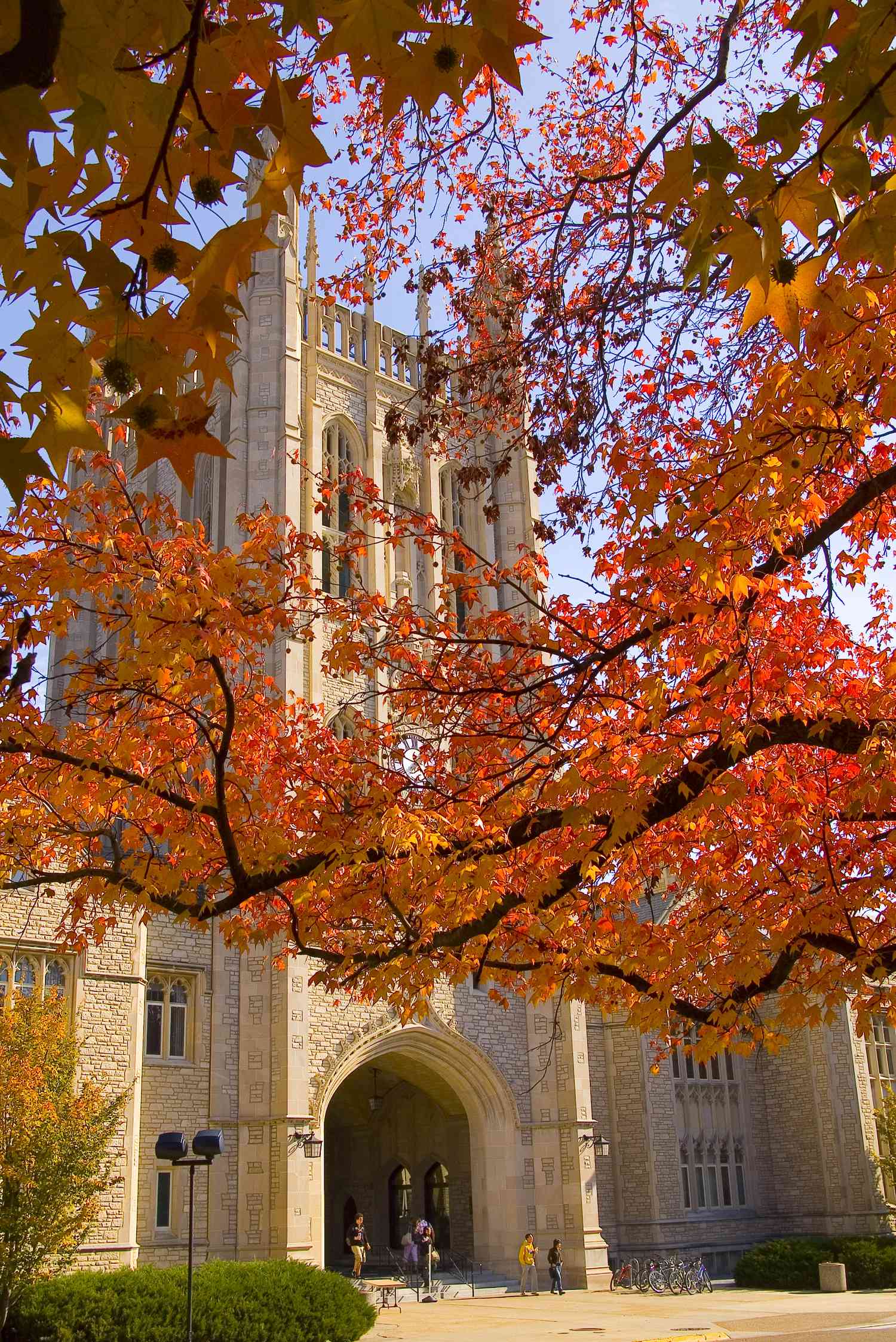 University of Missouri. Columbia, Missouri.