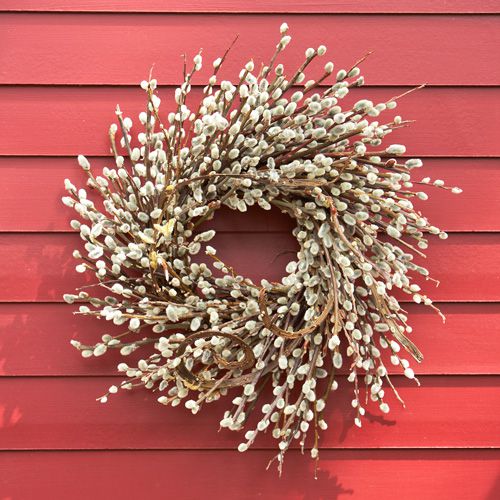 Pussy willow wreath