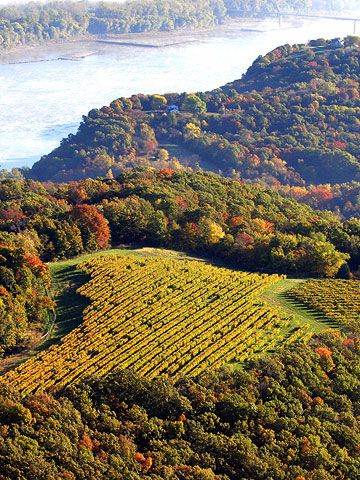 Missouri: wine trails
