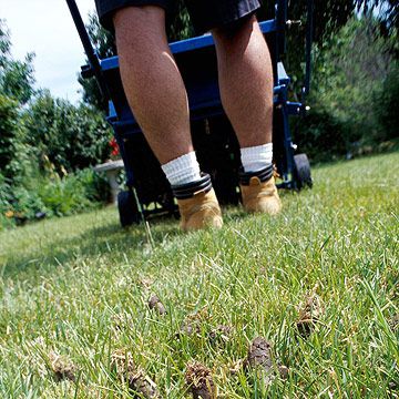 Lawns: Wake up turf with fertilizer and care