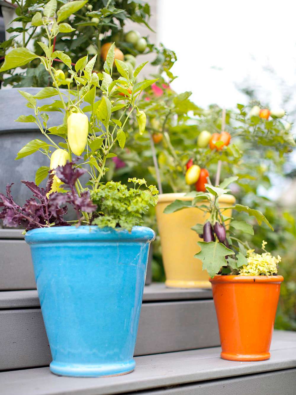 Enjoy A Vegetable Container Garden Midwest Living