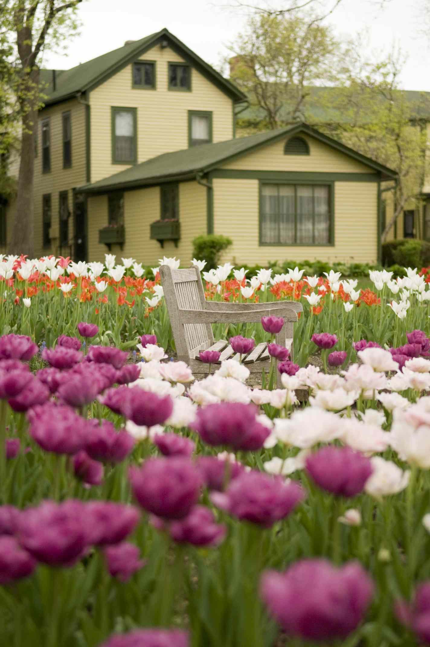 Tulip Time festival celebrates the city’s Dutch heritage with beautiful blooms.