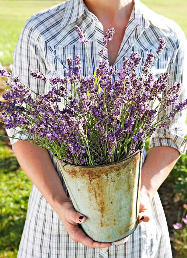 Grow your own bouquet