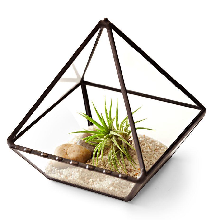 Jechory Glass Designs planter