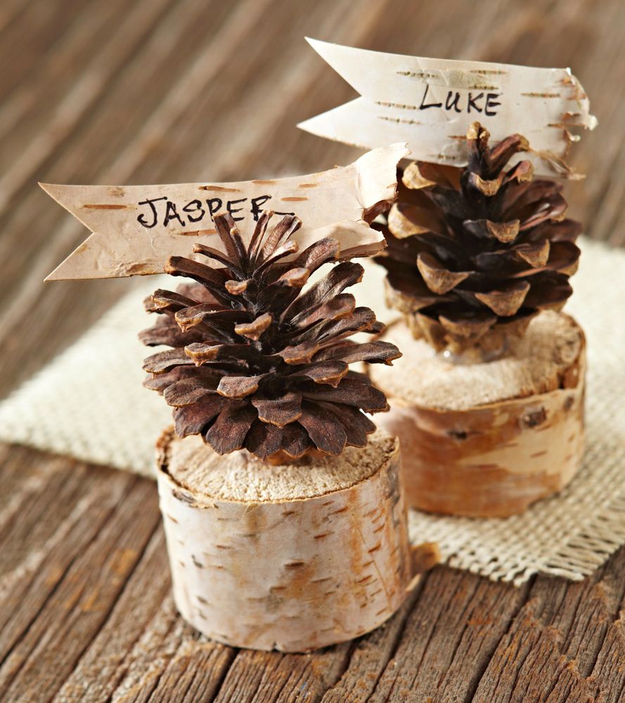 Pinecone place cards