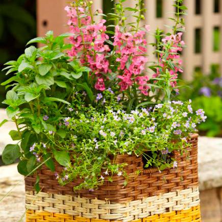 How to paint and plant baskets for container gardens