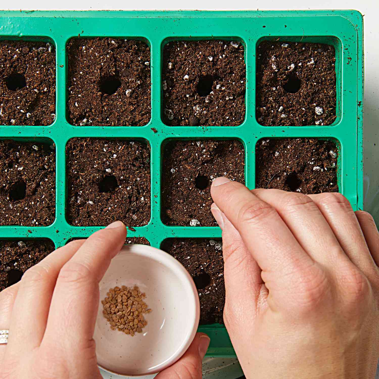 How to start seeds-Step 3