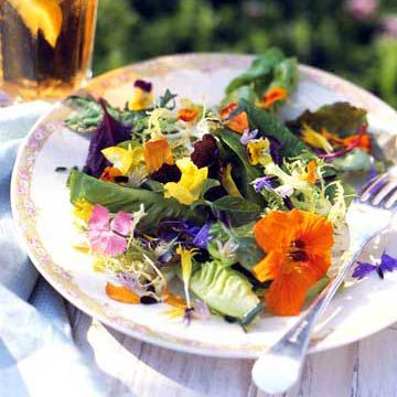 Herb-Lover's Salad 