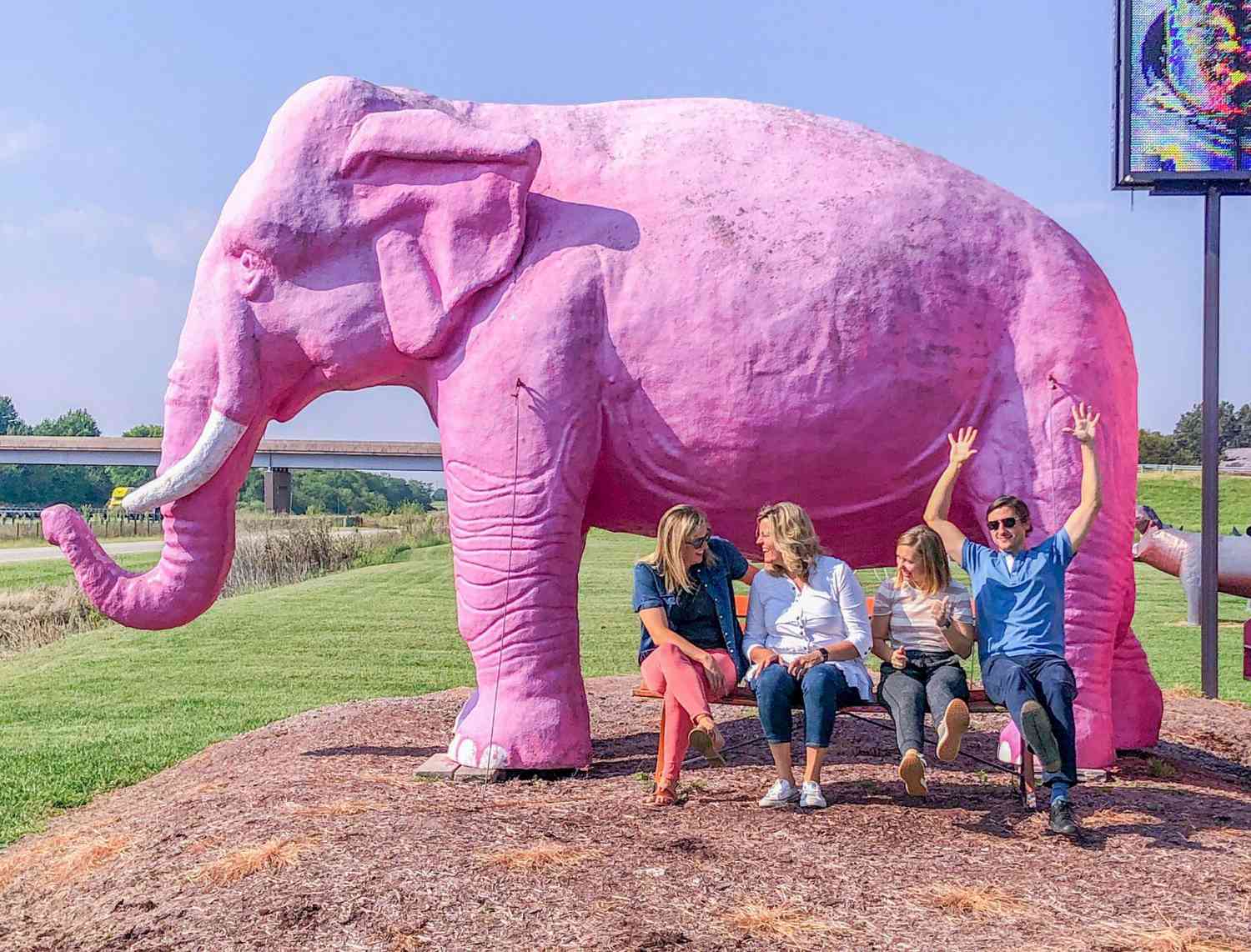 Pink Elephant Antique Mall, Livingston