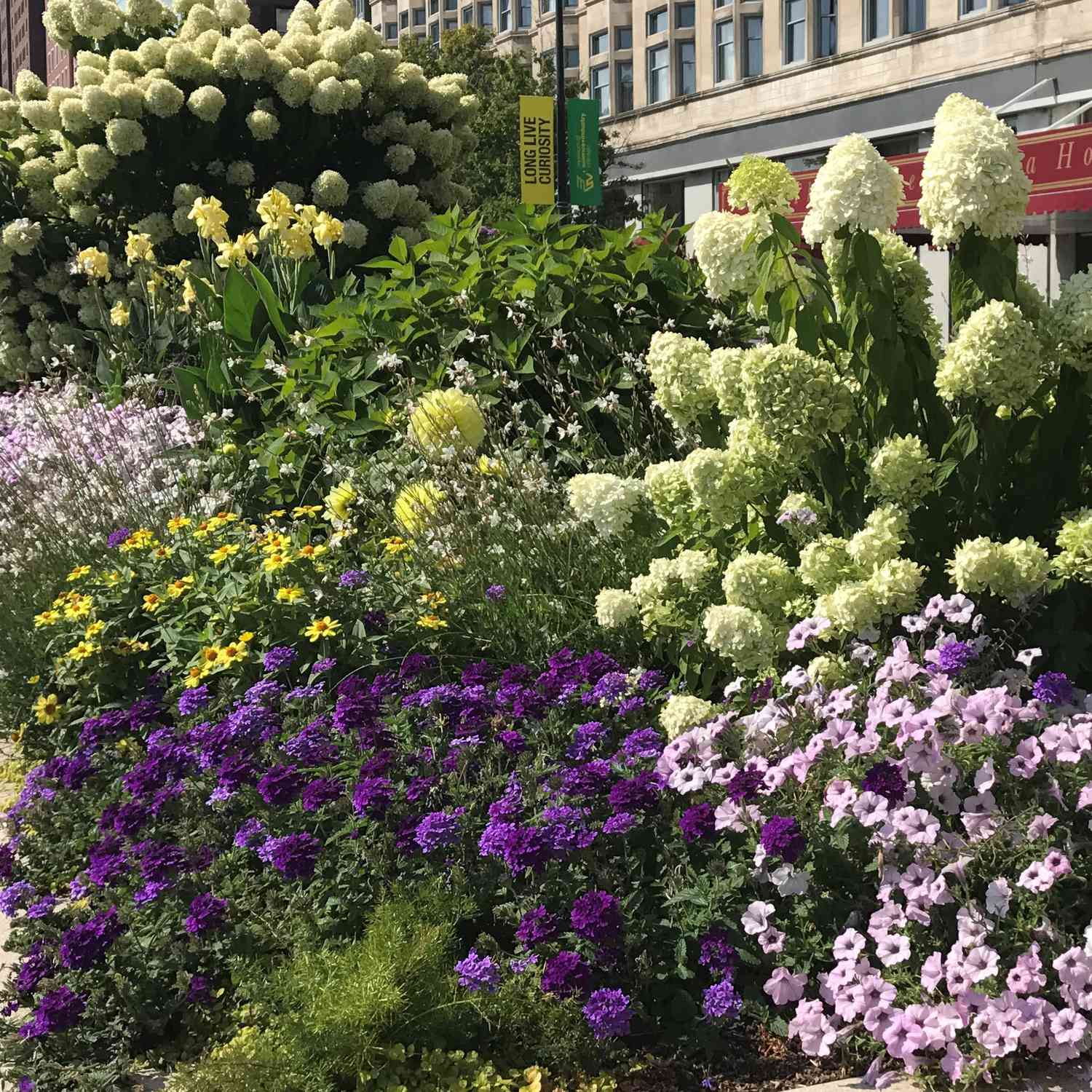 Michigan Avenue summer floral displays Chicago