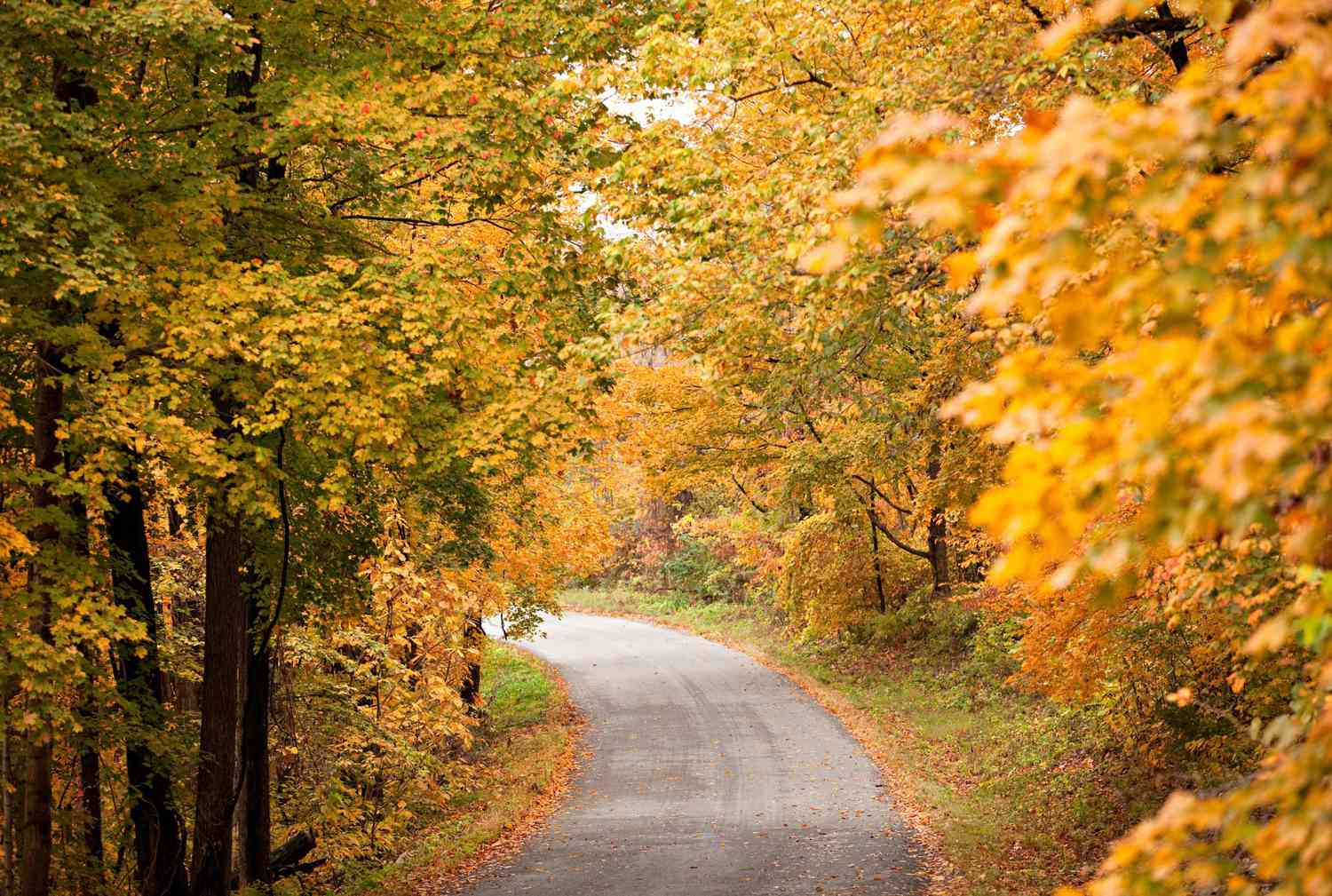 Fall staff road trips southern Illinois