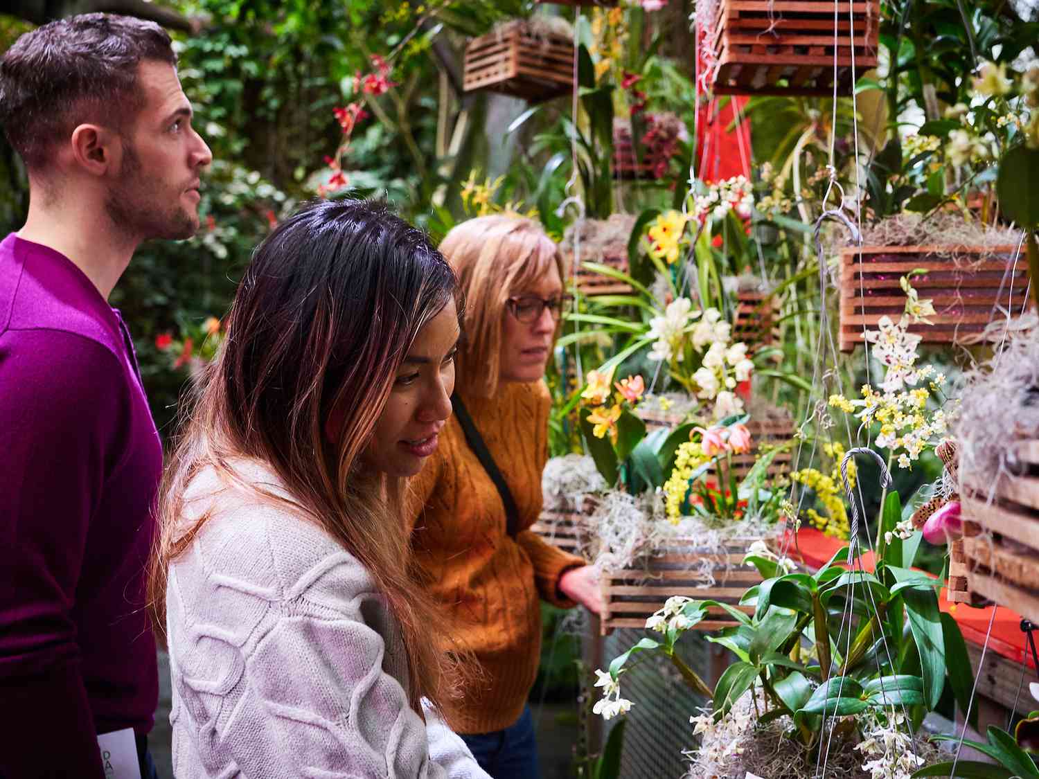 Orchid show at Cleveland Botanic Gardens, Holden Forests & Gardens