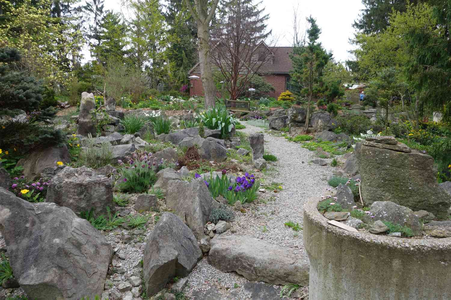 Rock garden with winding gravel path and house in background