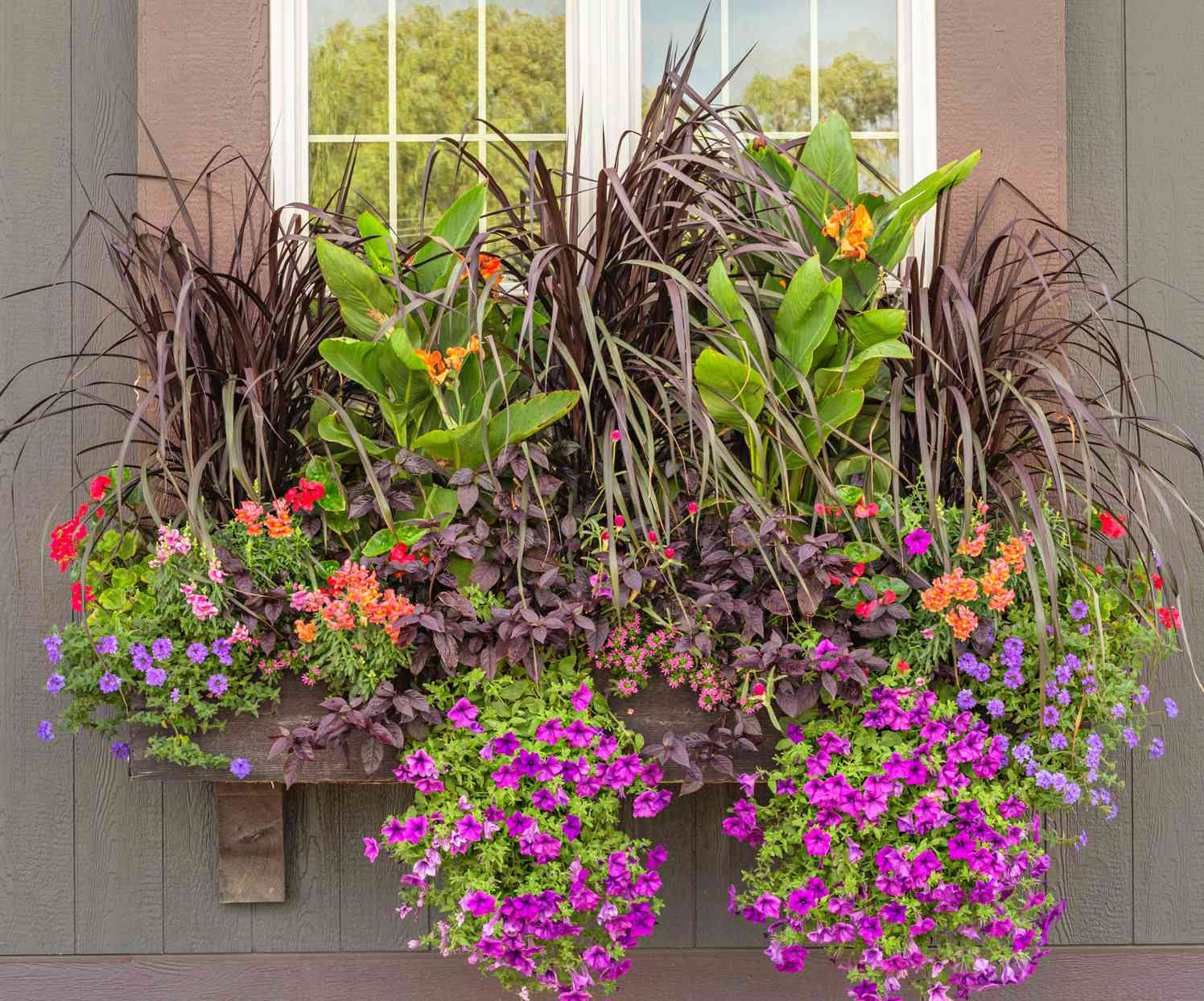 window boxes with lush purple flowers and grasses