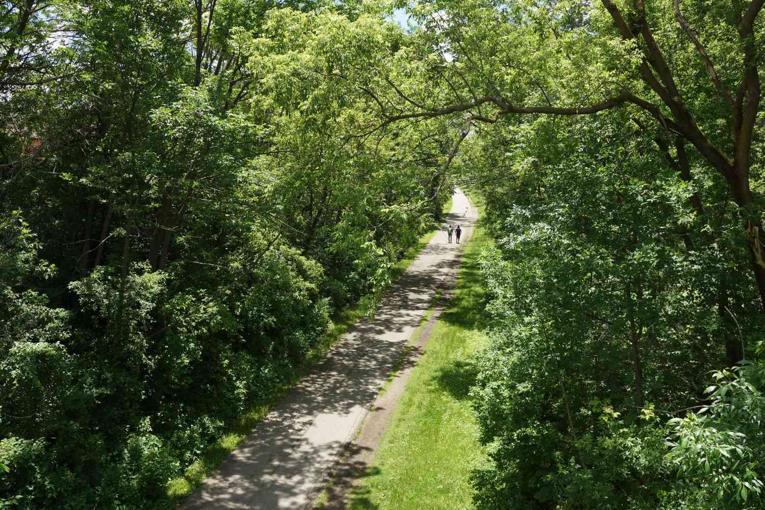 Oak Leaf Trail Milwaukee
