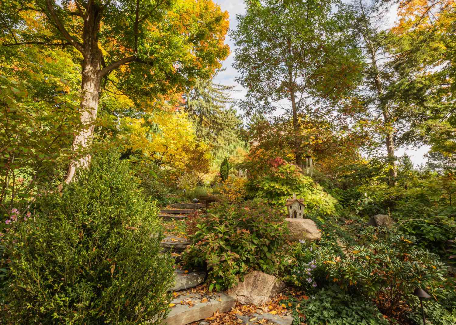 stone stairs in wooded garden