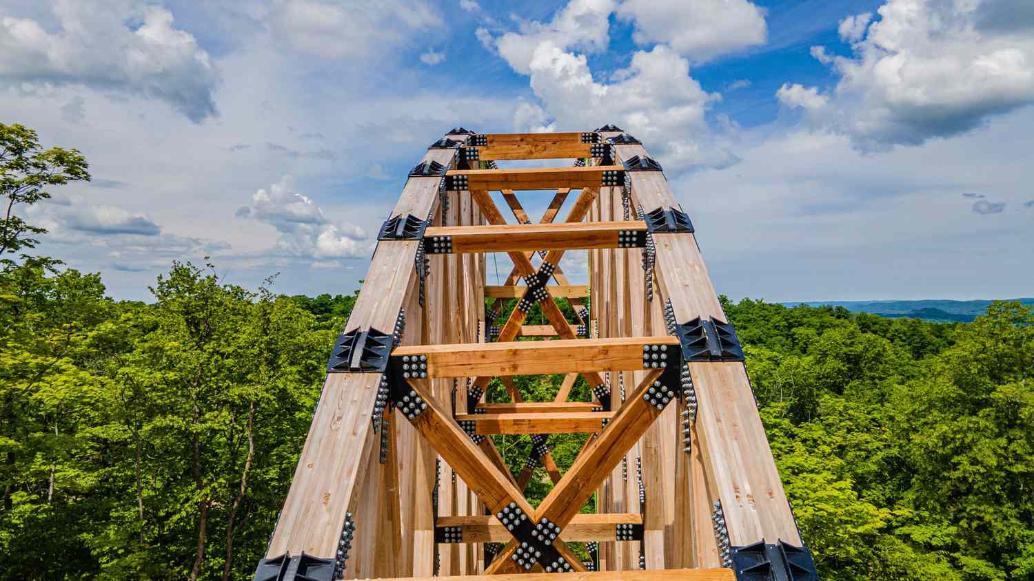 Top timber bridge view of SkyBridge Michigan