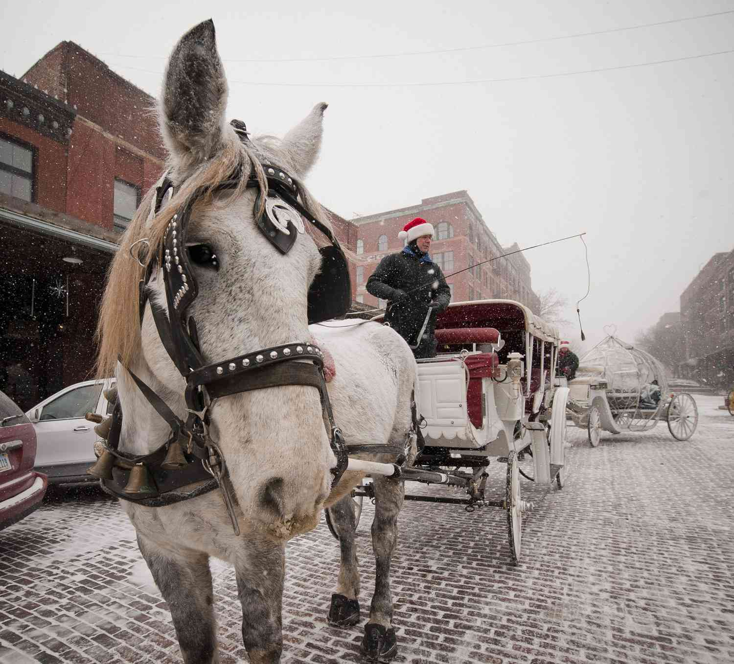 Carriage ride in Omaha, Nebraska, during the holidays