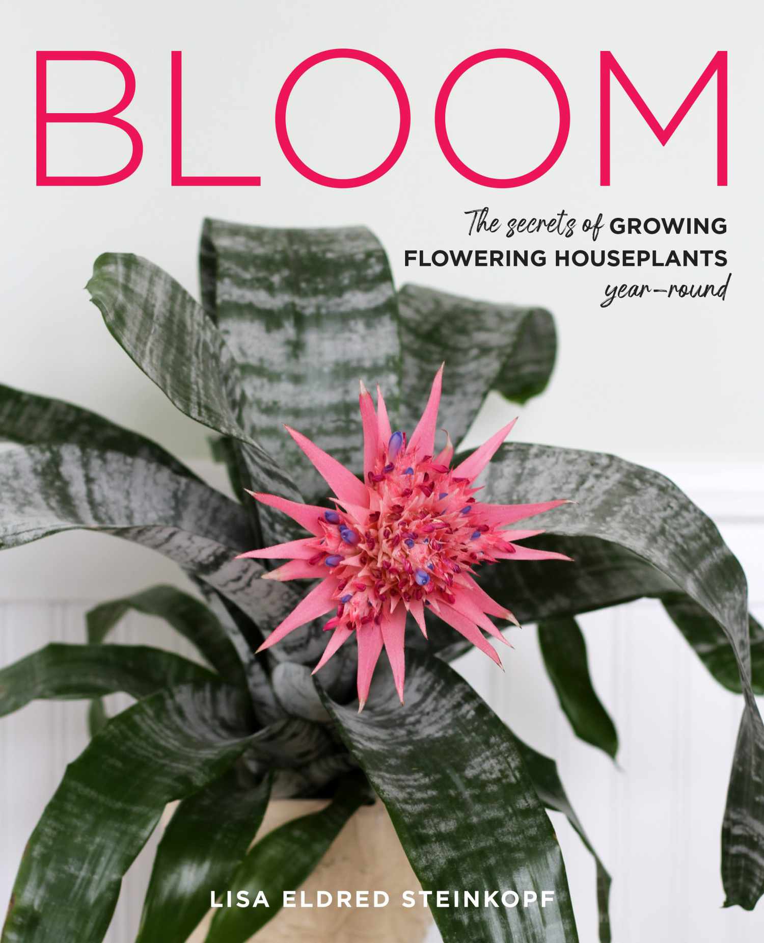 Bloom Book Cover