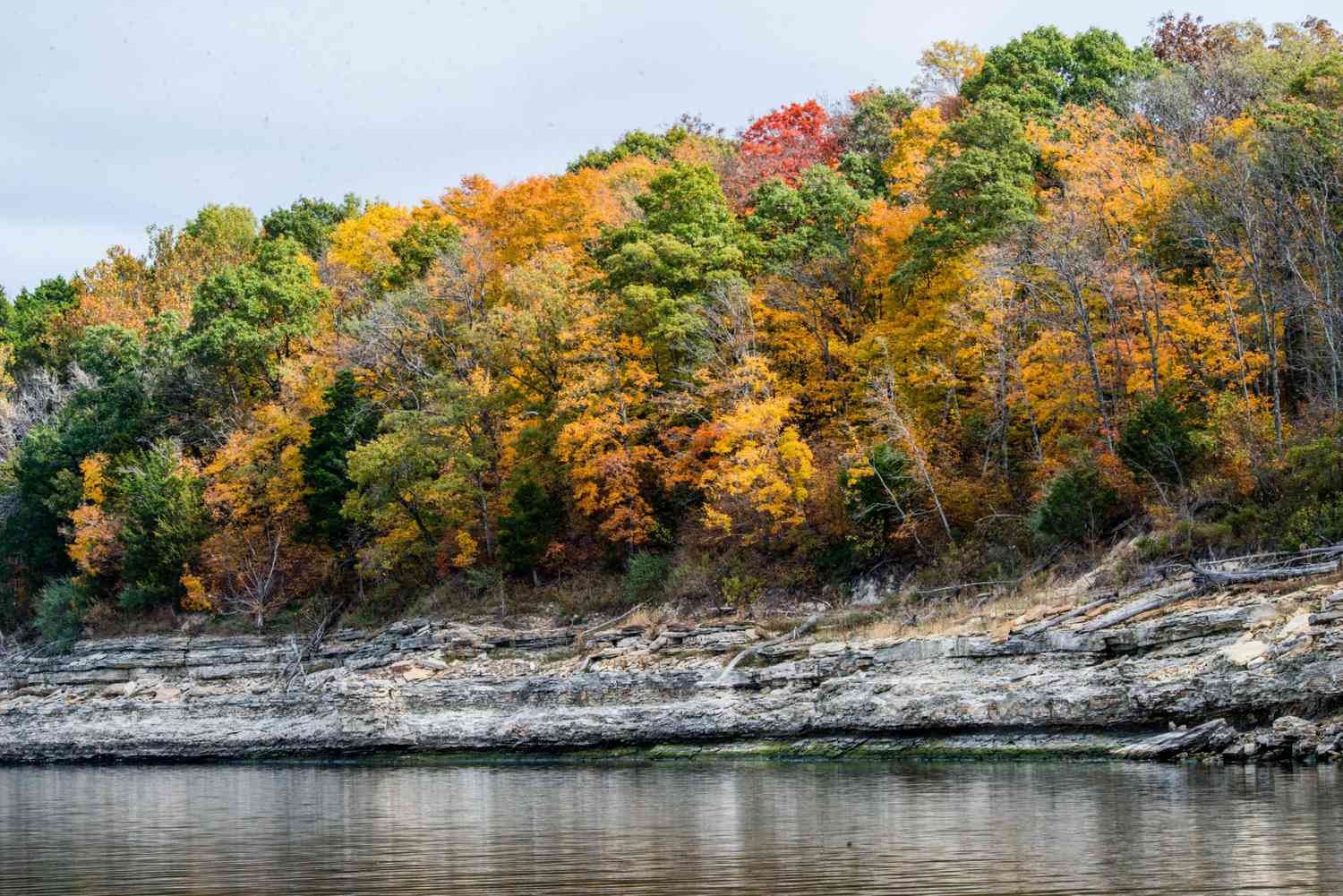 Colorful fall foliage in Mark Twain State Park, Missouri