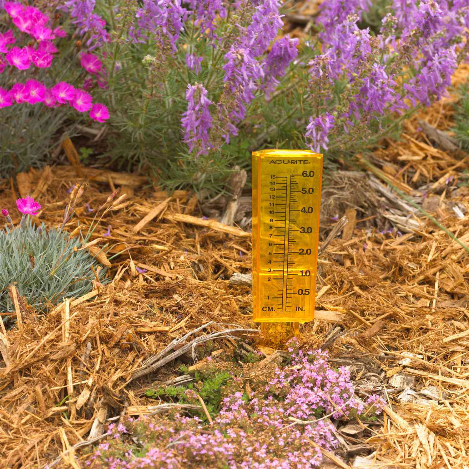 Ways to save water in your garden: Use a gauge