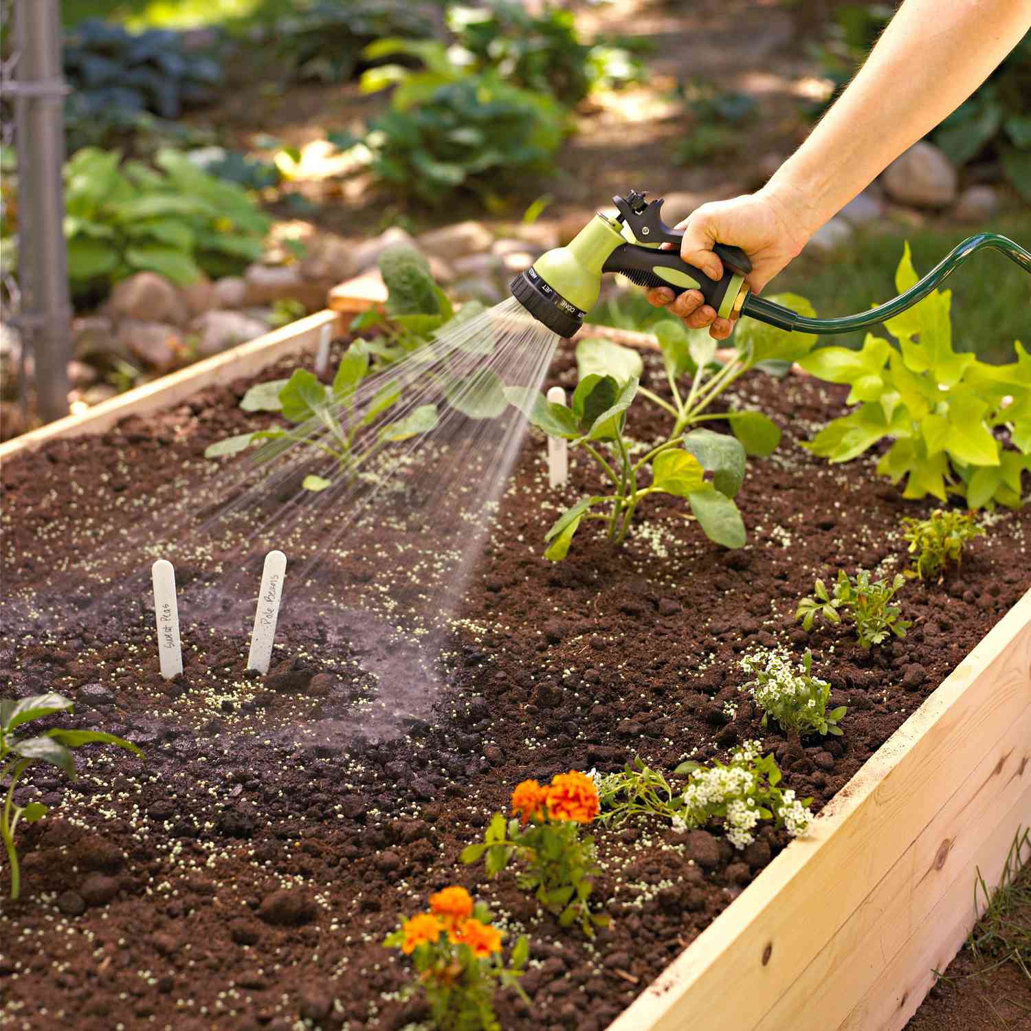 Watering a raised-bed garden