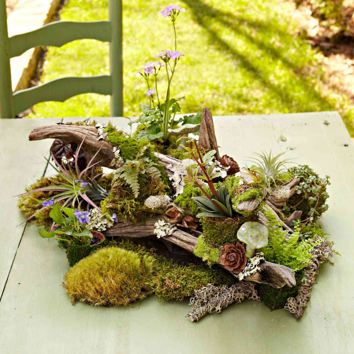 Make a Tabletop Woodland Garden