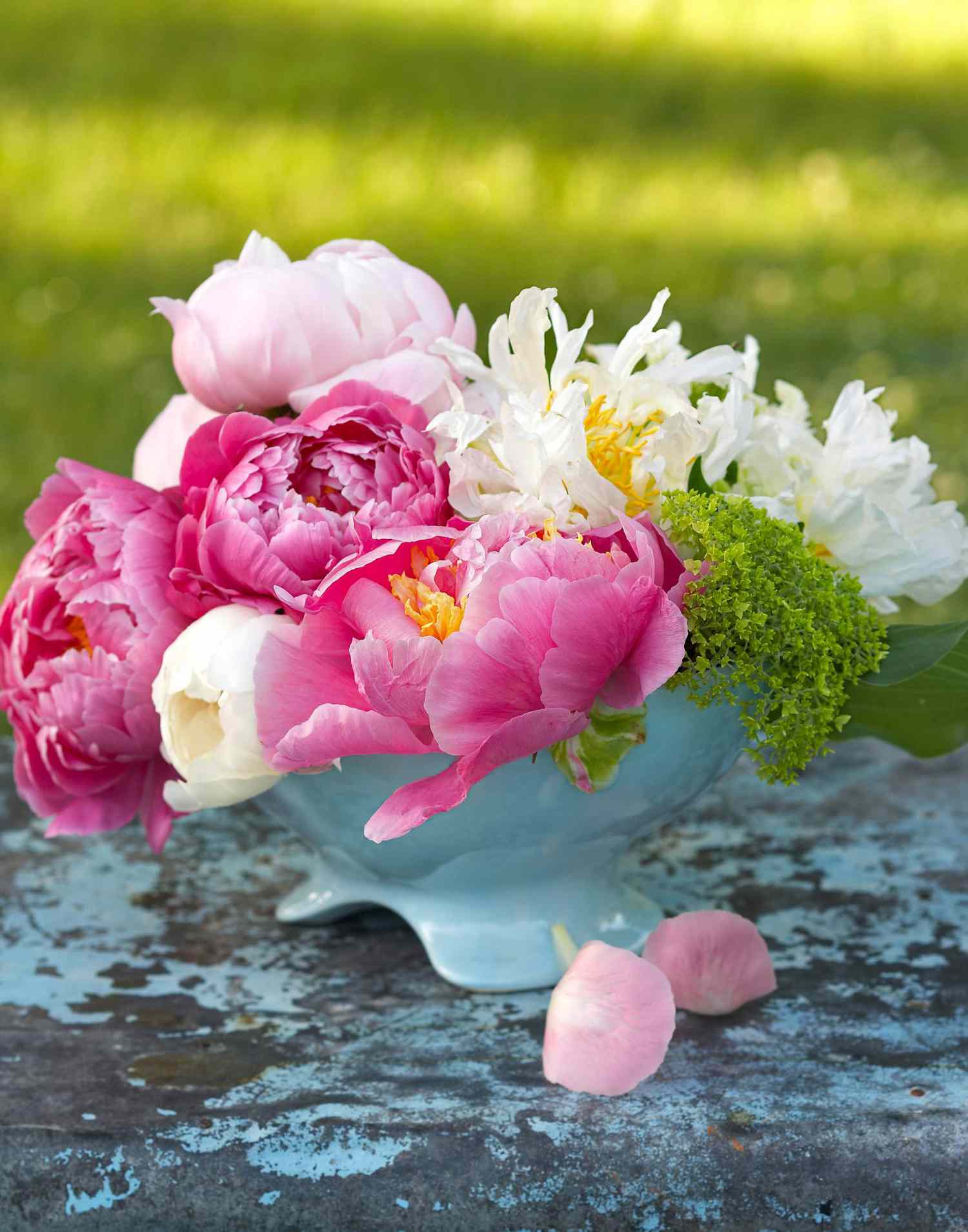 Vase of peonies:(clockwise from top): 'Mrs. Franklin D. Roosevelt', a pair of 'Green Halo' blooms, pink-and-gold 'Lois E. Klehm', 'Ivory Escort' and twin 'Pink Kisses'
