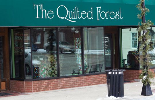 The Quilted Forest