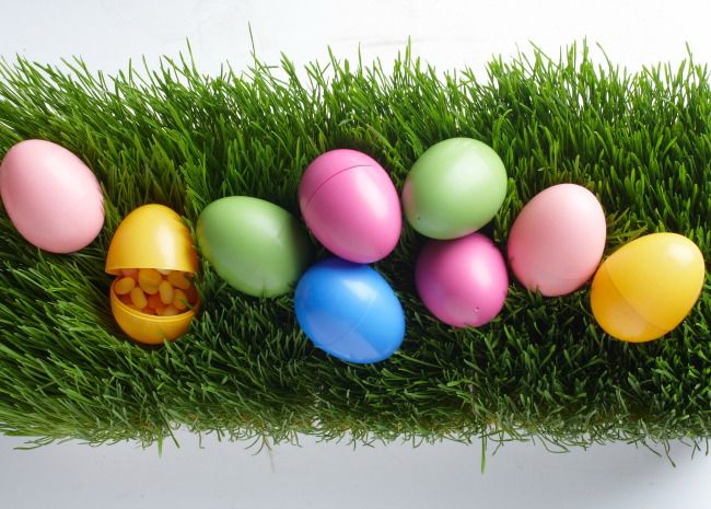 101869642-easter-egg-hunt-photo-by-meredith-650x465