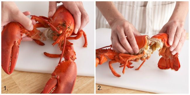 Pulling Lobster Apart