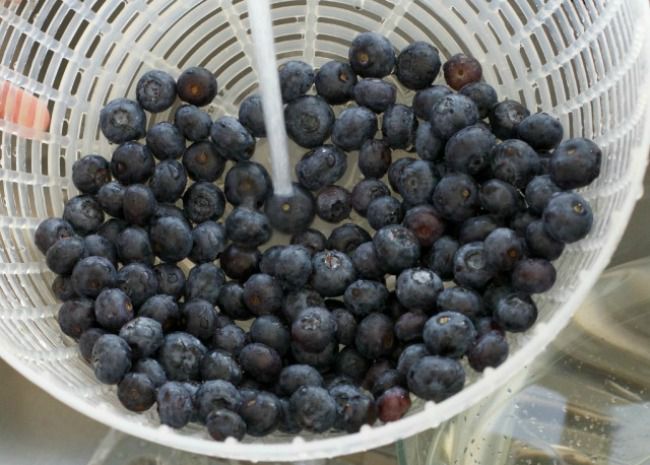 rinsing fresh blueberries