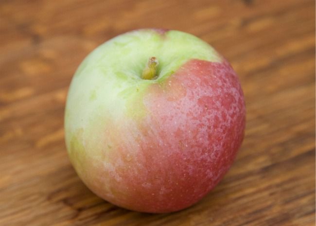 one mcintosh apple