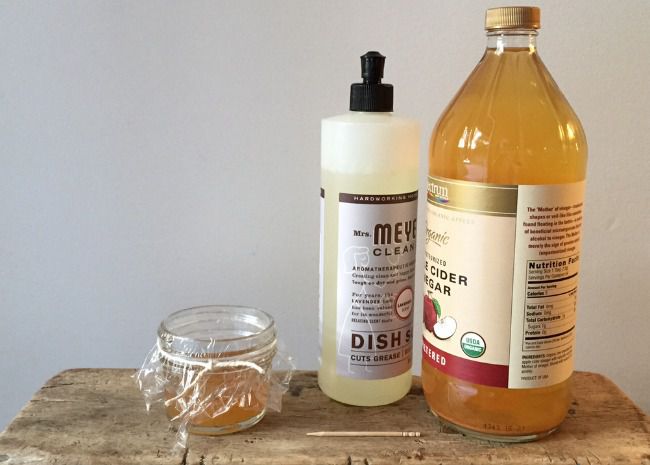 dish soap and vinegar for DIY fruit fly trap