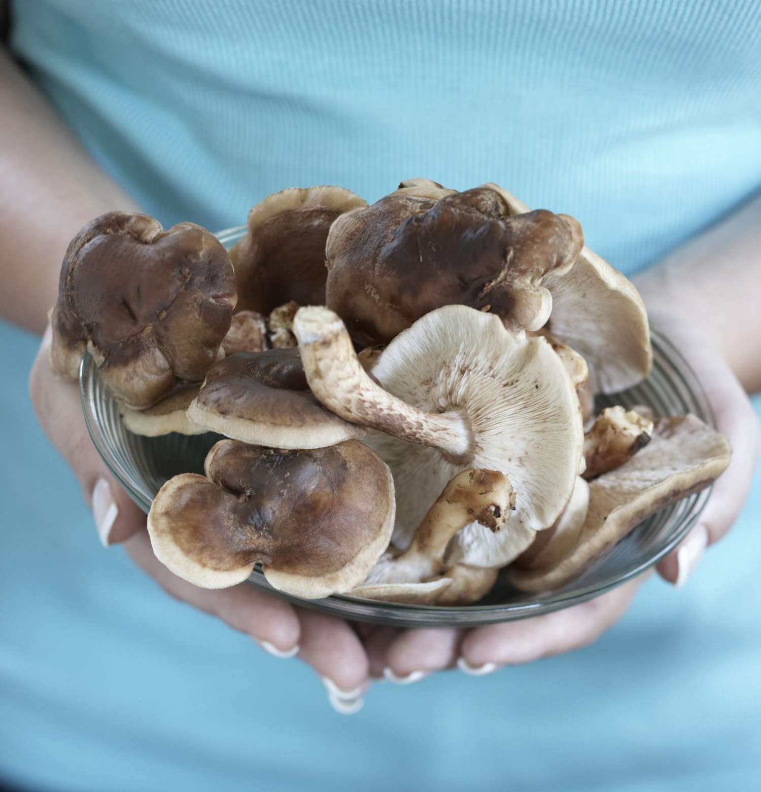 Holding Shiitakes on Plate
