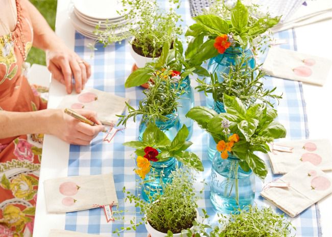 Fresh Table Decor - Herbs In Jars and Pots