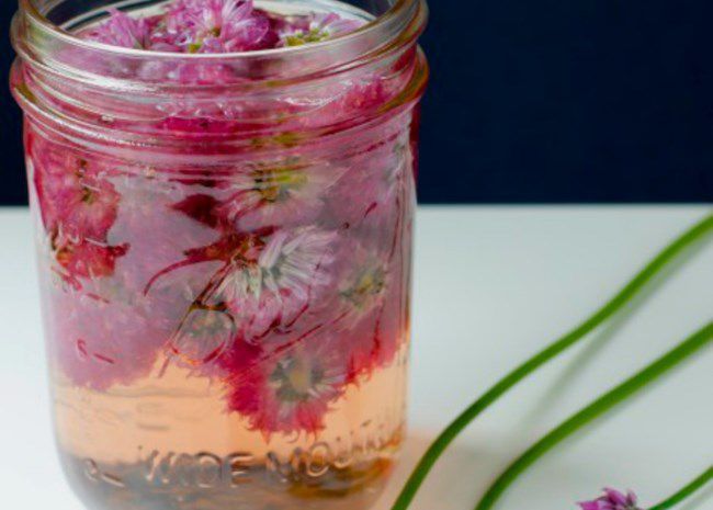 chive blossom infused vinegar