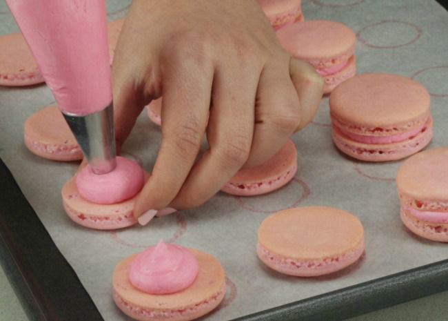 Piping filling into macarons