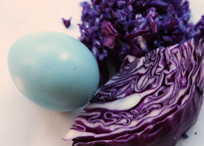 Natural Egg Dye: Sky Blue = Red Cabbage
