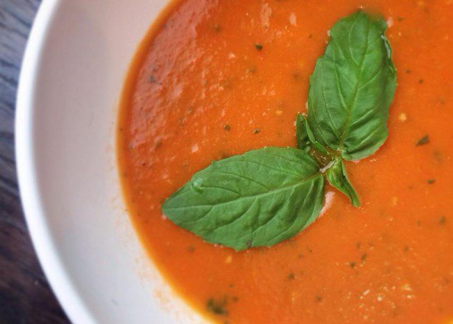 garden fresh tomato soup