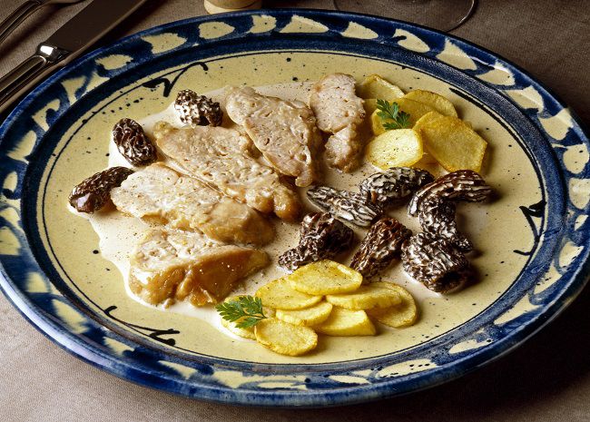 Sweetbreads with Morels and Cream Sauce