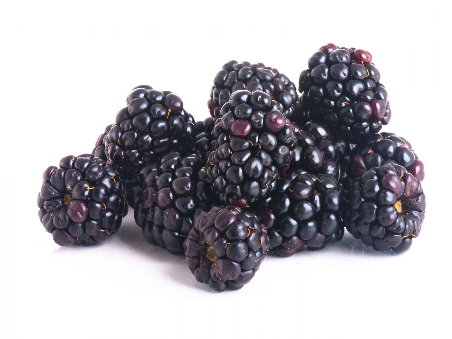 blackberries on white background