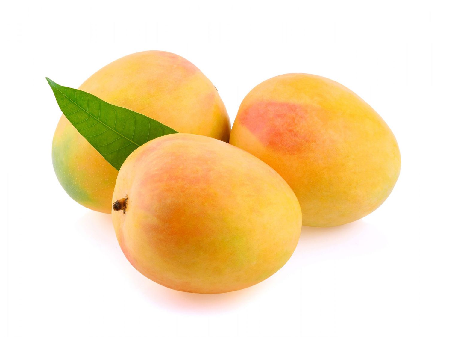 mangoes on white background