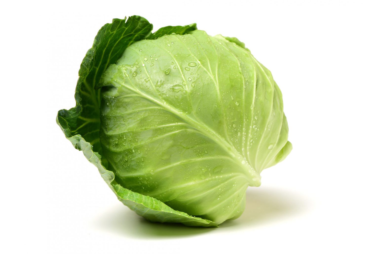 Green Cabbage by Getty
