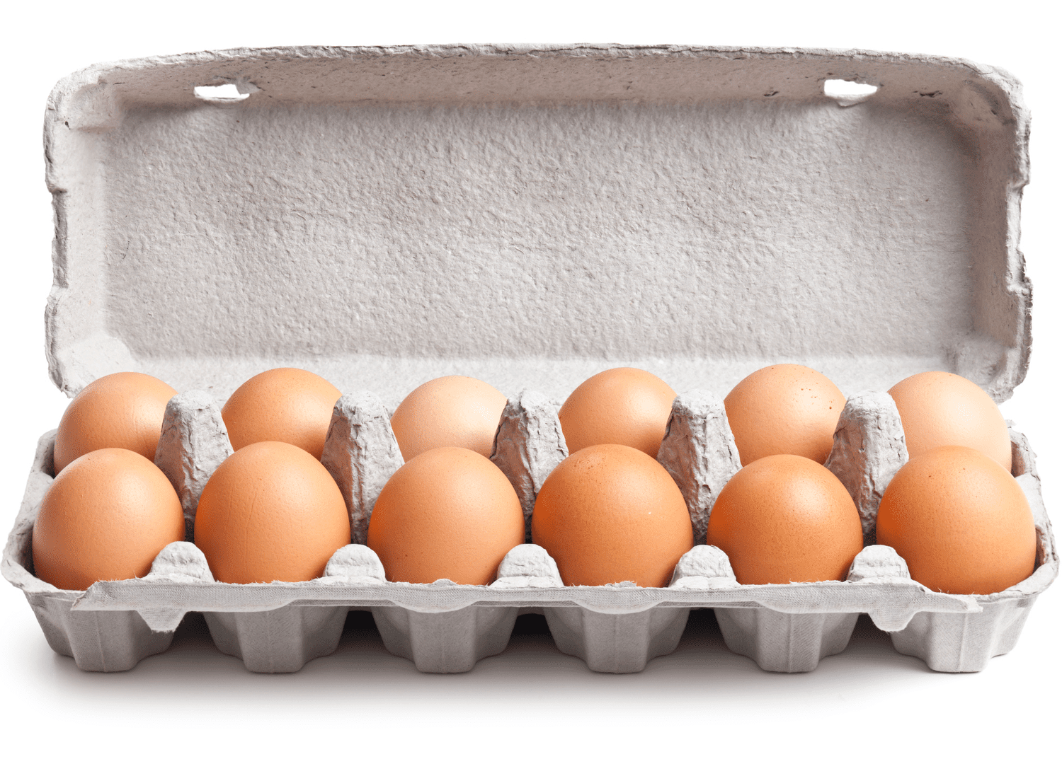 carton of eggs