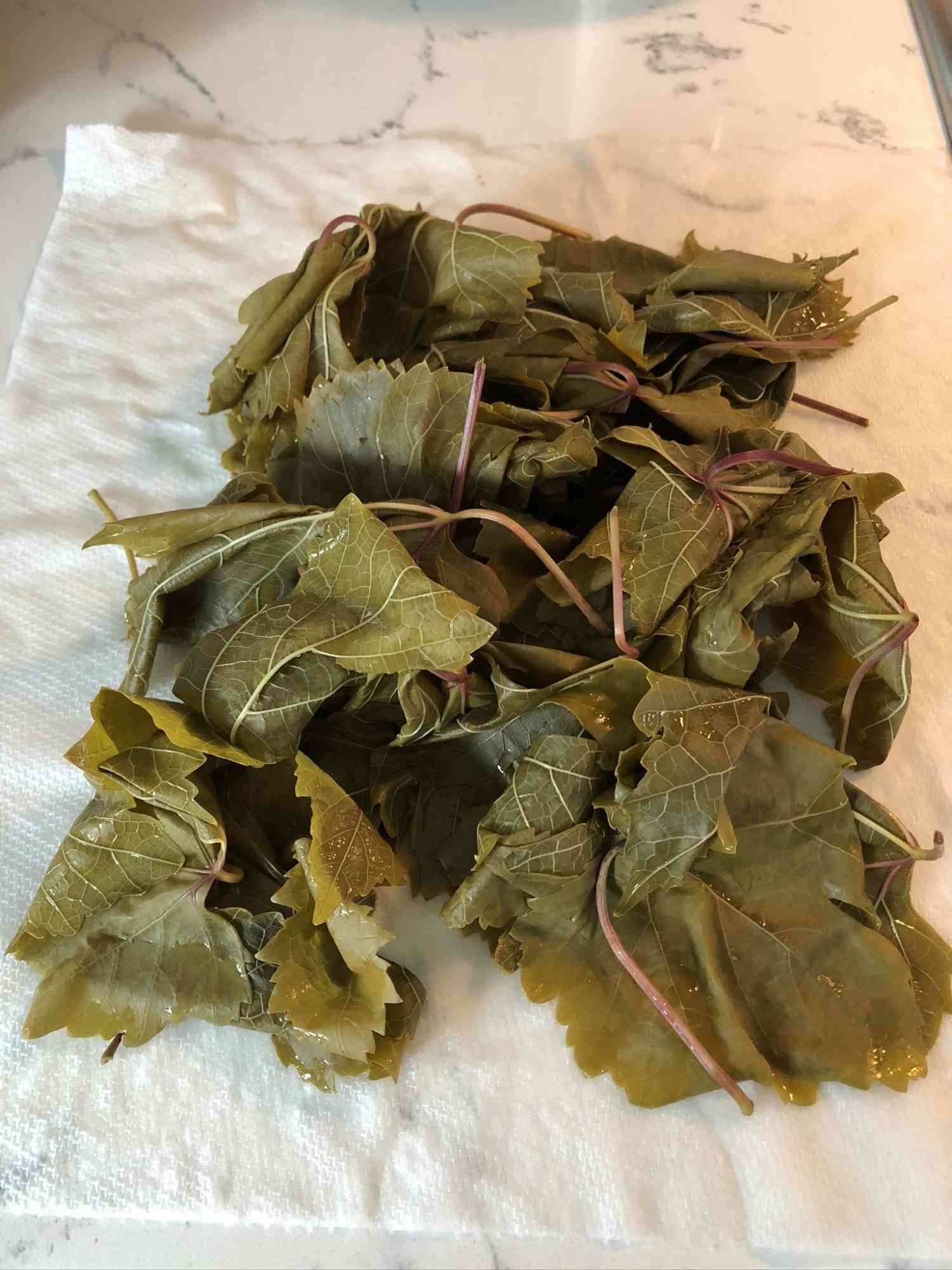 Blanched grape leaves