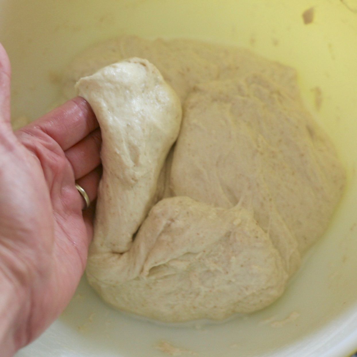sourdough bread dough folding the dough