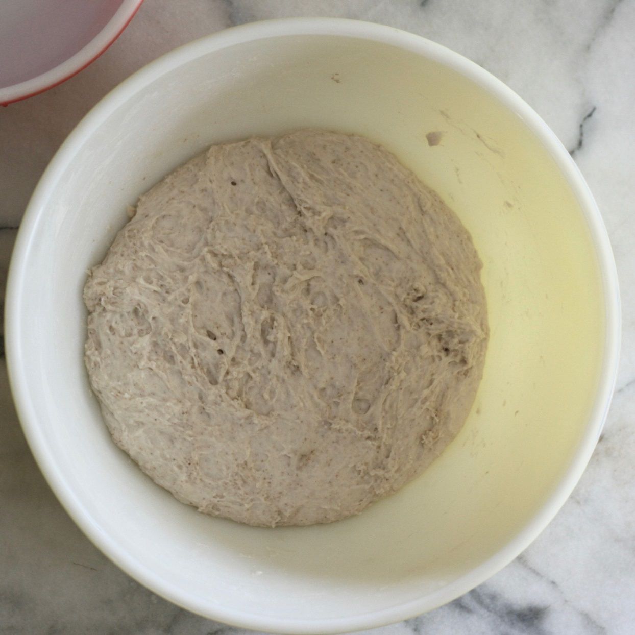 sourdough bread dough resting in a bowl